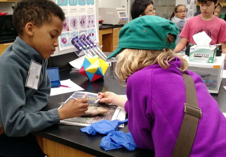 Children dissecting fish in a classroom at Saturday Academy