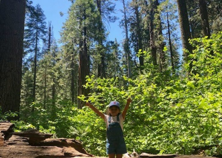 A young Saturday Academy camper is exploring the natural world