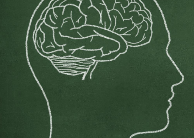 A stock photo of a simple, outline drawing of a person’s head with a simple drawing of a brain shown. Image is meant for Saturday Academy’s Minds, Brains, and Art summer camp 