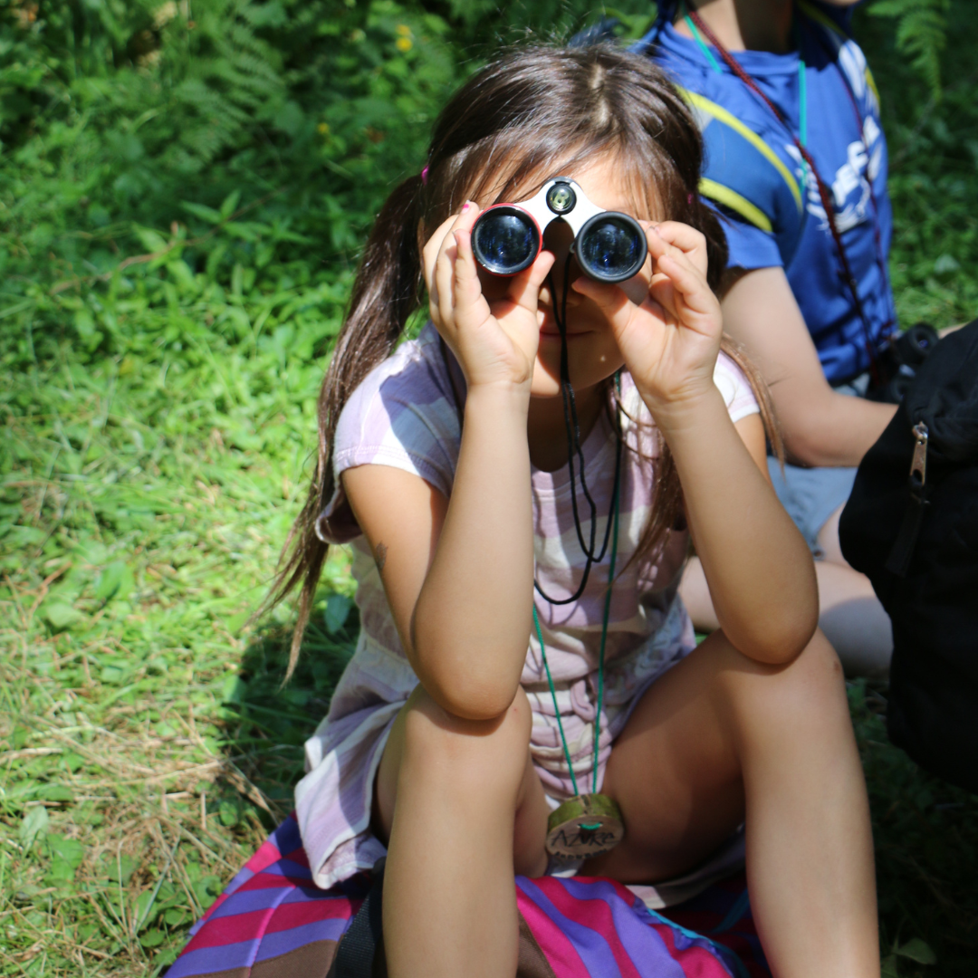 Creature Explorers Summer Camp