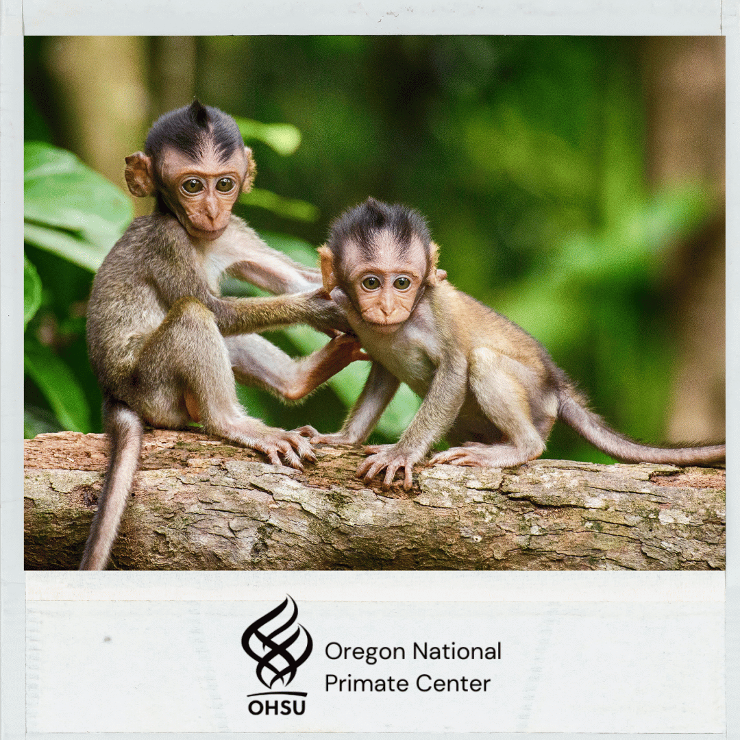 Days Off at Oregon National Primate Research Center