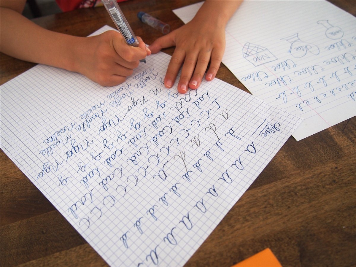 Learn how to write an essay