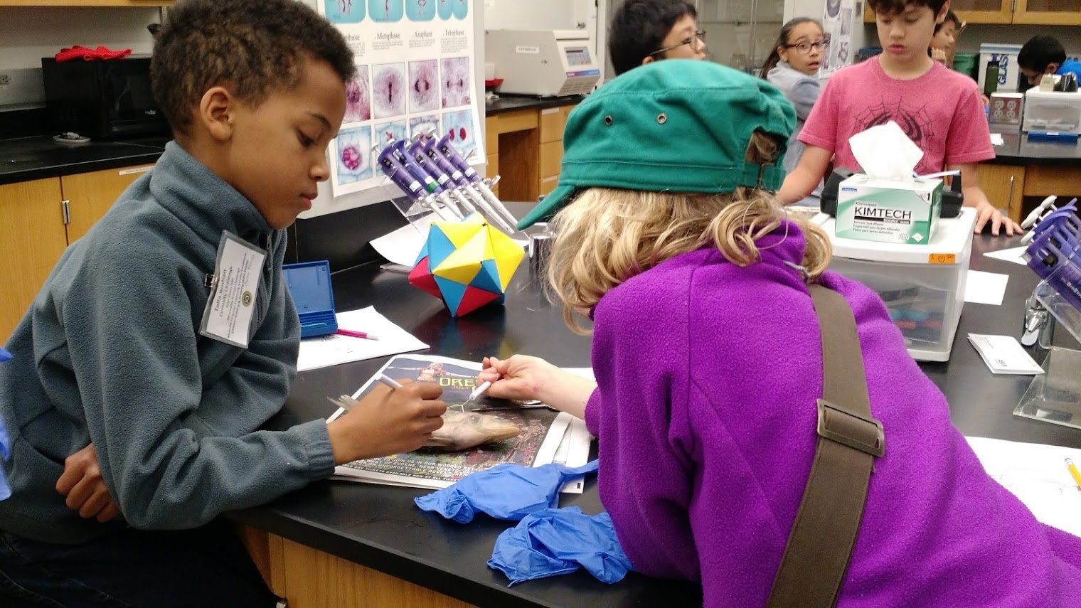 Children dissecting fish in a classroom at Saturday Academy